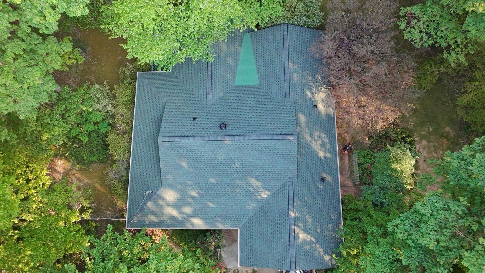 Green shingle residential roof aerial